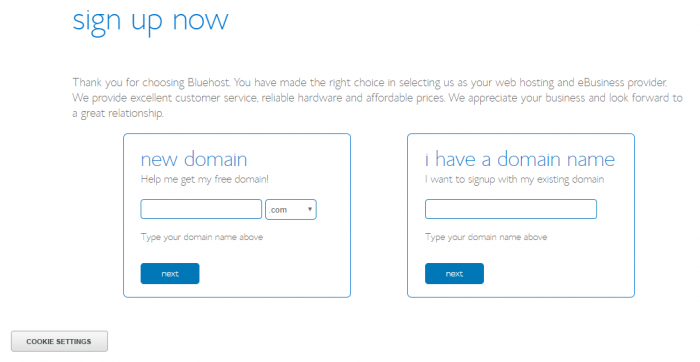 How to get domain name and make a blog